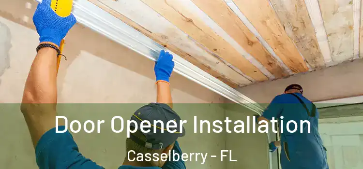 Door Opener Installation Casselberry - FL