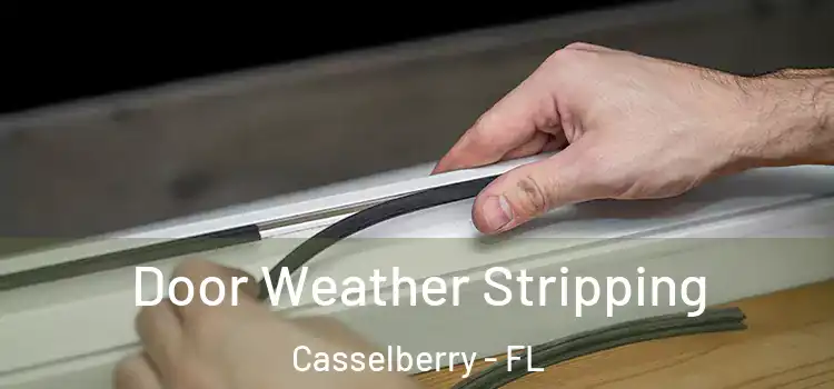 Door Weather Stripping Casselberry - FL