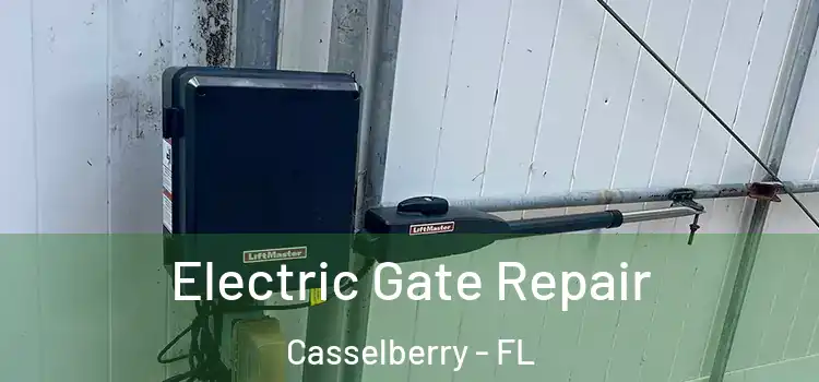 Electric Gate Repair Casselberry - FL