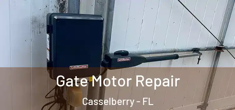Gate Motor Repair Casselberry - FL