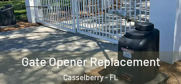 Gate Opener Replacement Casselberry - FL