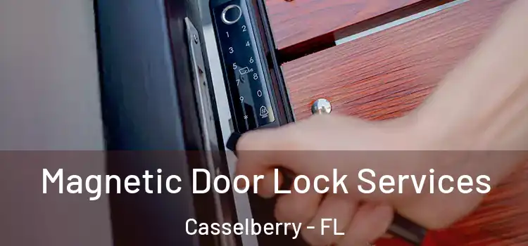 Magnetic Door Lock Services Casselberry - FL