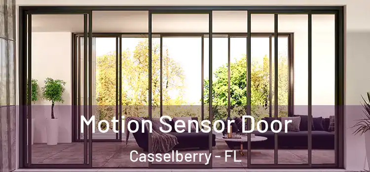 Motion Sensor Door Casselberry - FL